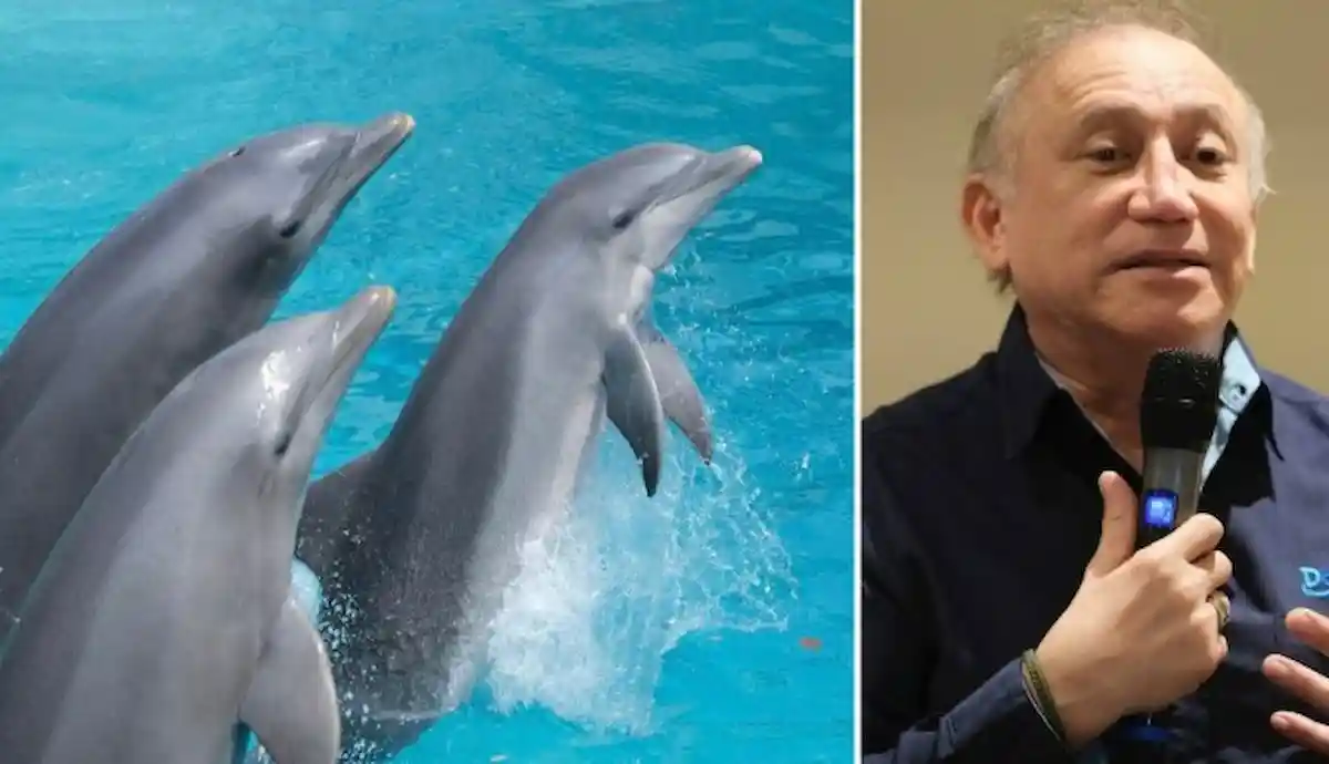 Eduardo Albor Villanueva, founder of The Dolphin Company, in an interview.