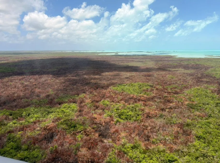 Aerial view of a forest fire in Quintana Roo, Mexico