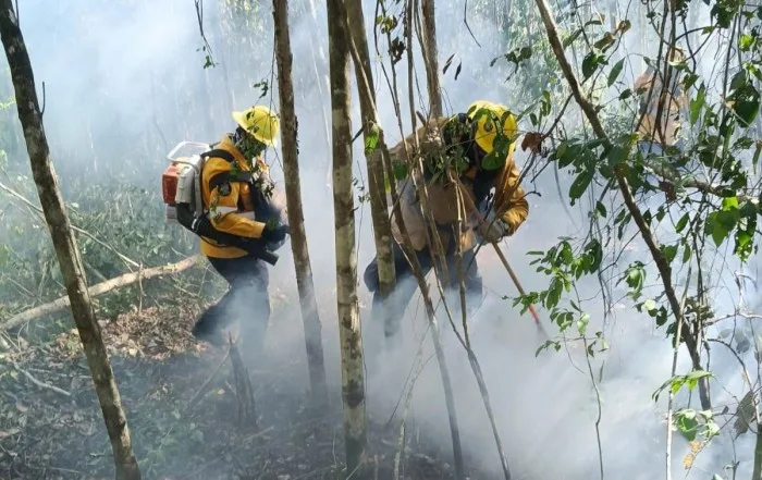 Firefighters and civil protection personnel work to contain the El Viejo forest fire north of Xpu-Há, Quintana Roo.