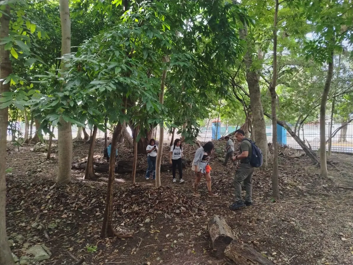 Participants on a guided fungi observation walk through Parque Ecologico Zazil in Chetumal, Quintana Roo