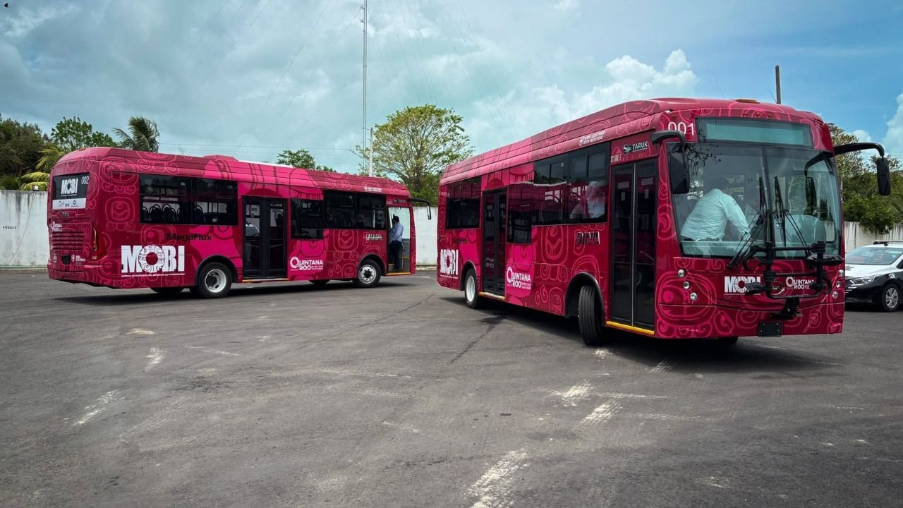 A fleet of Mobi buses parked and ready for service in Playa del Carmen.
