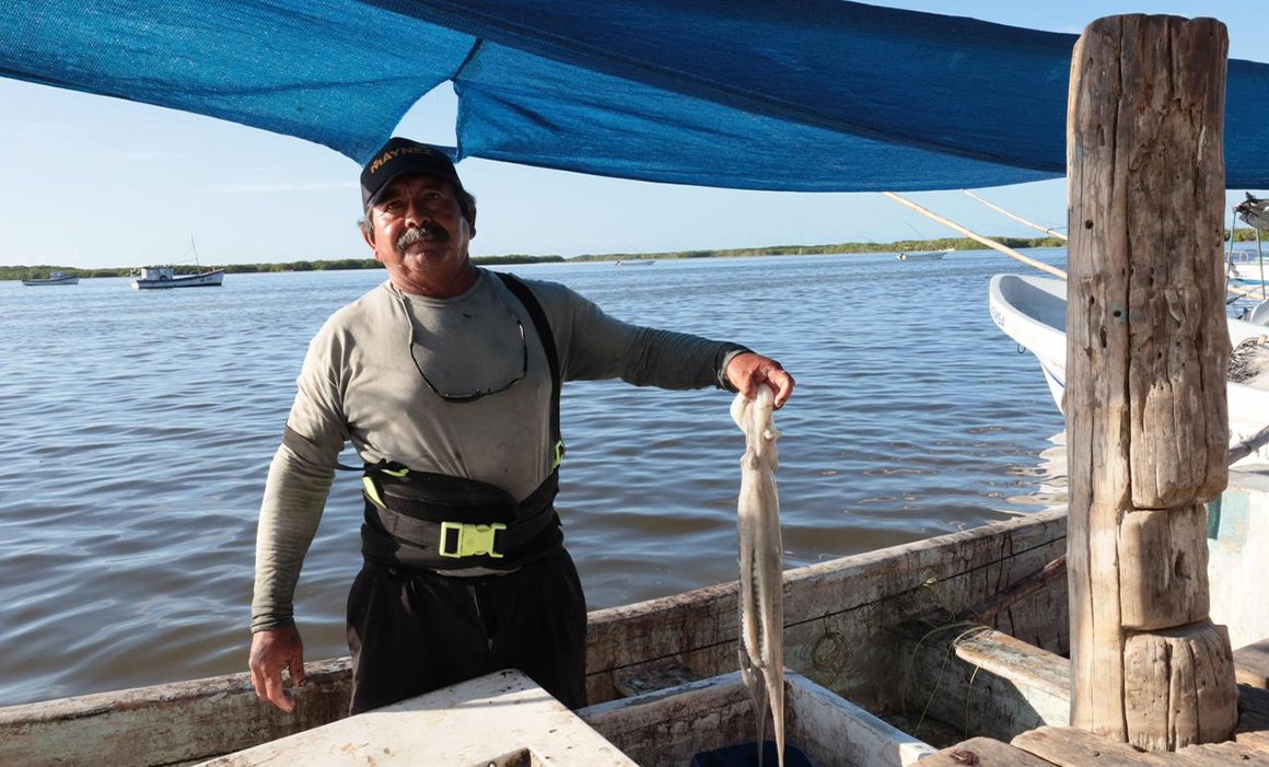 Fishermen and boats prepare for the octopus fishing season in Yucatan
