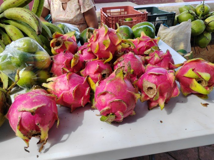 Fresh pitahaya fruit stacked in crates at a market in José María Morelos, Quintana Roo