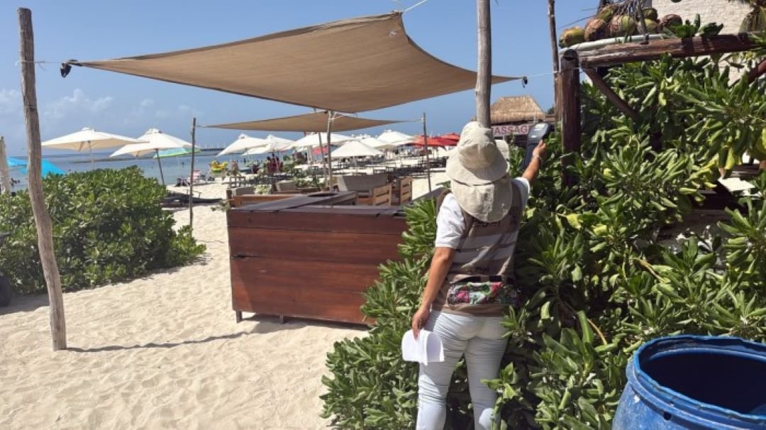 Municipal officials inspect beach access in Playa del Carmen after report of restrictions
