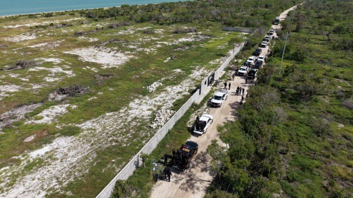 Profepa inspectors review cleared land inside the Ría Celestún Biosphere Reserve in Celestún, Yucatán, during an enforcement operation on August 3, 2026.