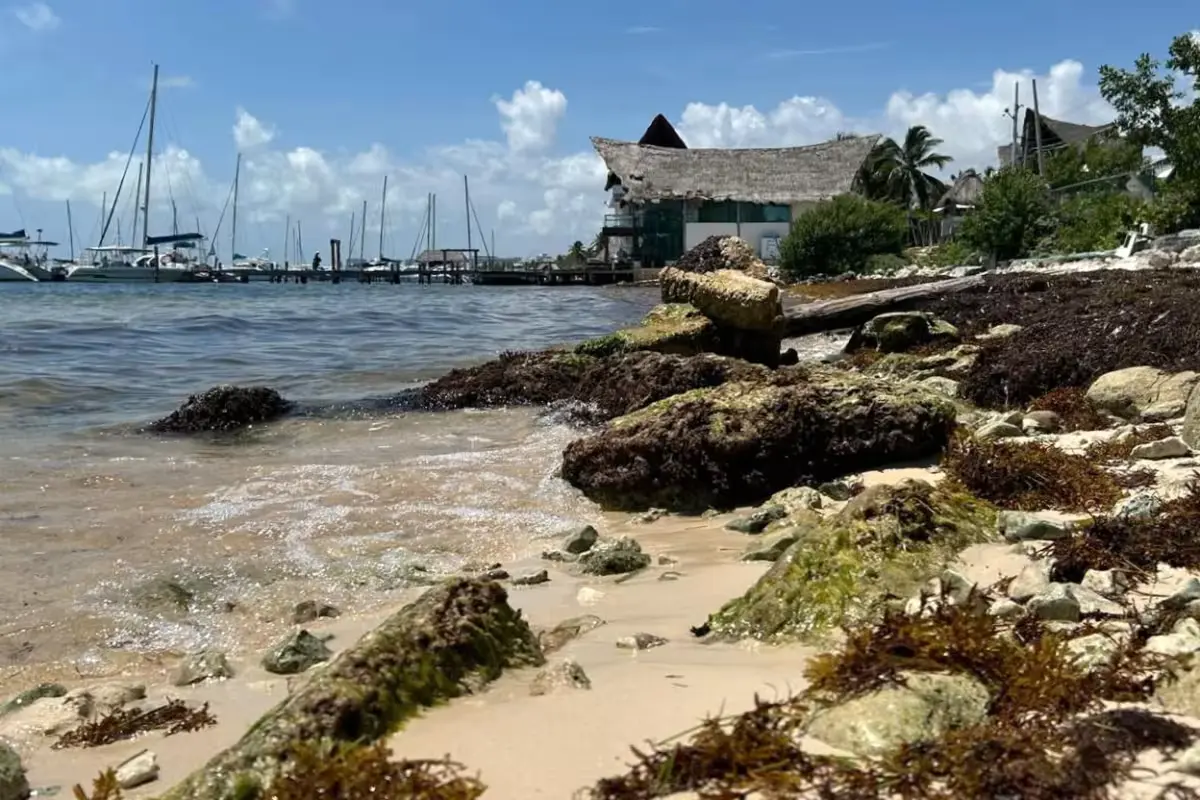 Beach erosion in Puerto Juárez with the sea approaching buildings near Playa del Niño