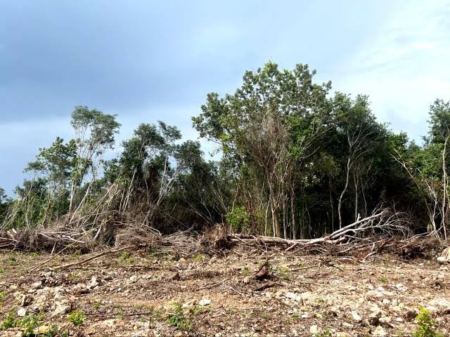 People sign a petition calling for protection of wetlands and jungle areas in Puerto Morelos, Quintana Roo.