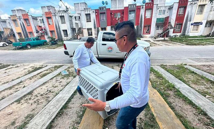 A police officer holding a dog while reviewing animal abuse case files in Quintana Roo