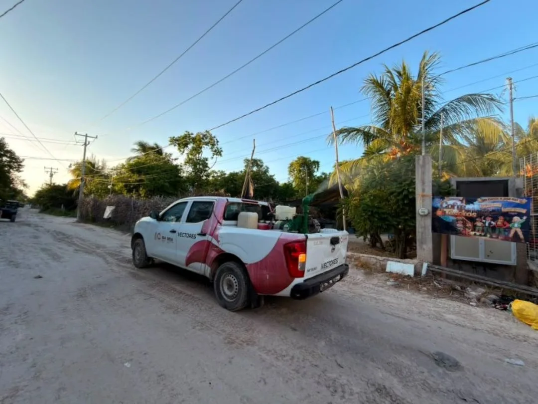 Health officials warn about rising dengue cases in Quintana Roo as the state leads the Yucatan Peninsula in infections.