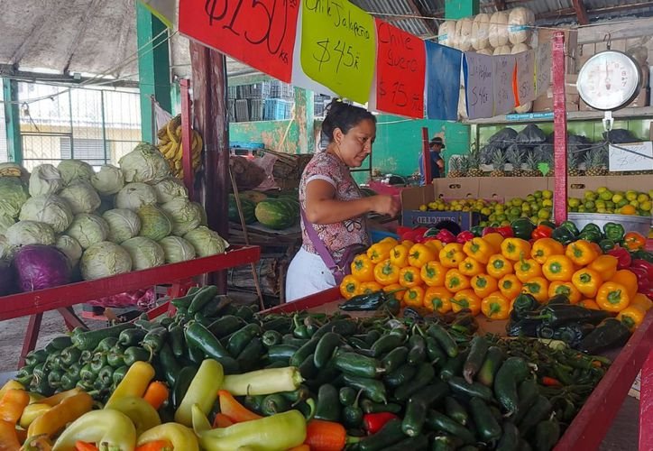 Chart showing Quintana Roo with the highest inflation rate among Mexican states in August