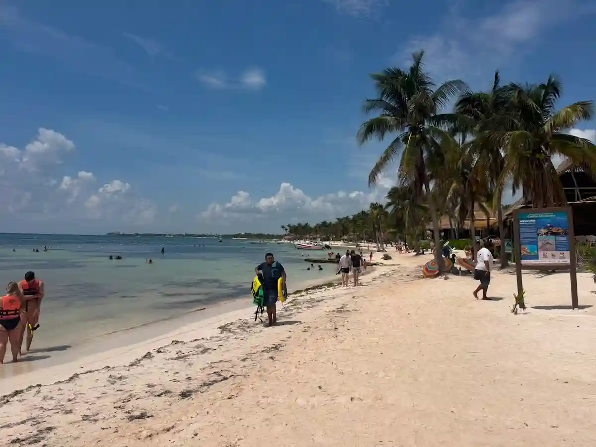 Turquoise water and nearly sargassum-free sand on a beach in Tulum