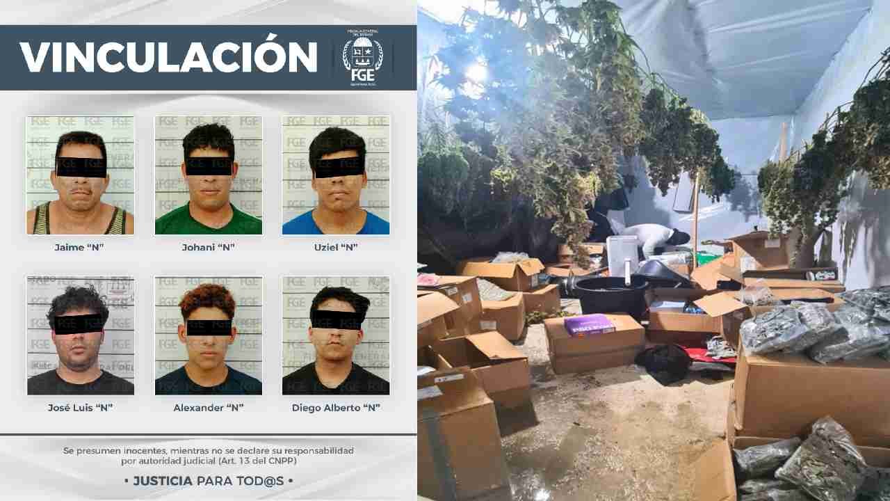 Seven men face drug charges in connection with marijuana greenhouses in Quintana Roo, Mexico.