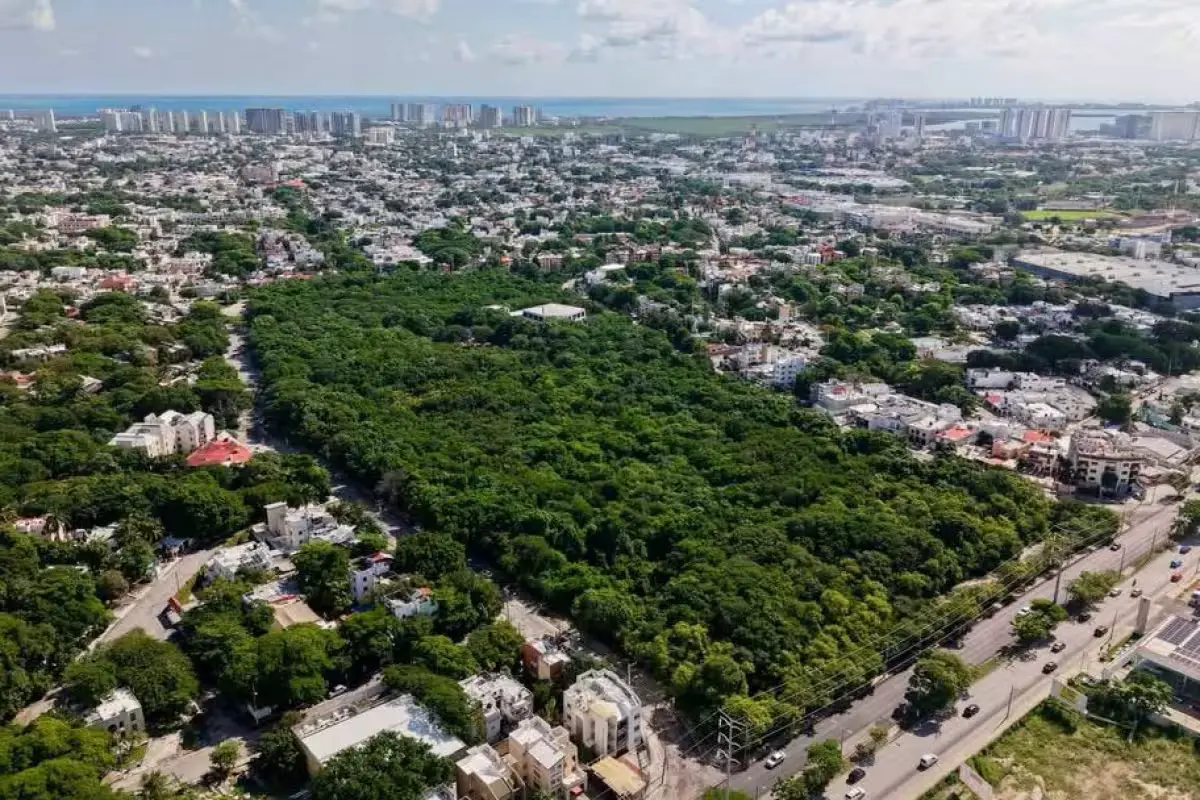 Architects and engineers call for updated development plans in Playa del Carmen