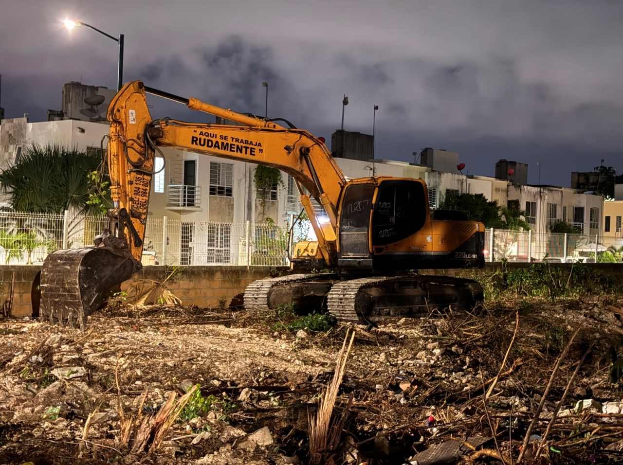 Heavy machinery and felled trees in the Palmas 2 green area of Playa del Carmen