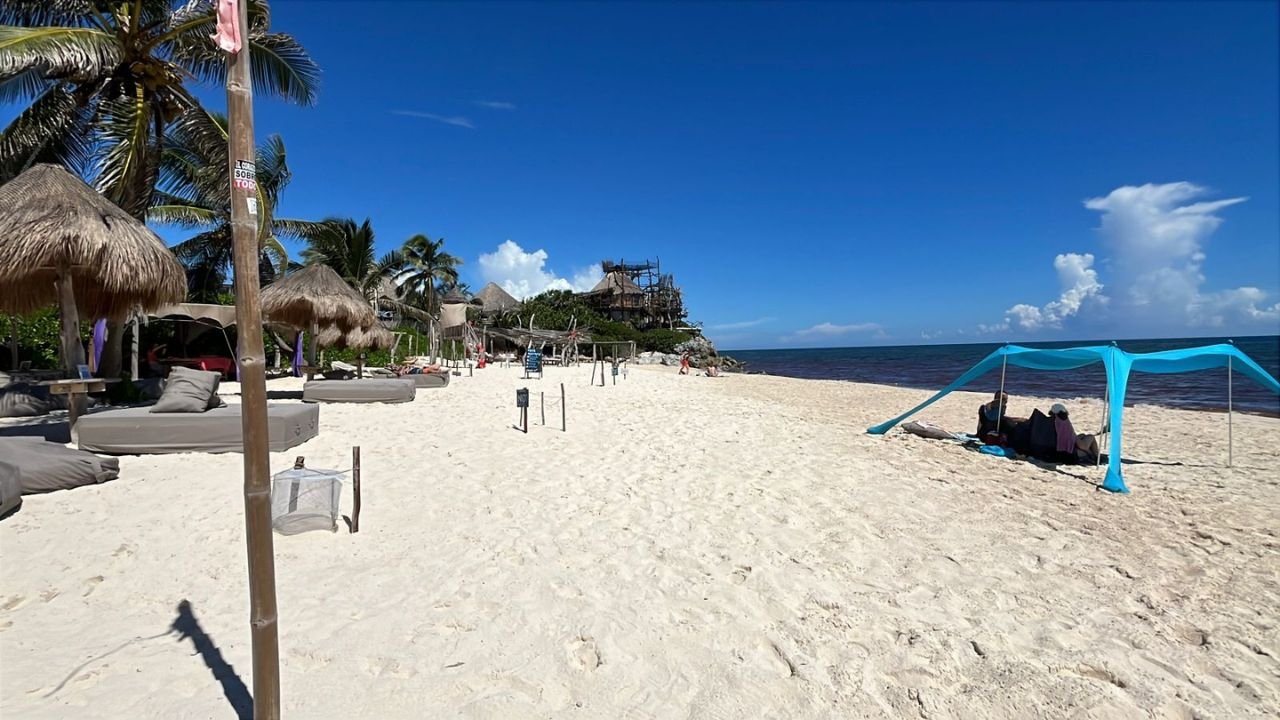 Beachfront hotels in Tulum's hotel zone during a period of low occupancy, with sargassum on the shore and few tourists.