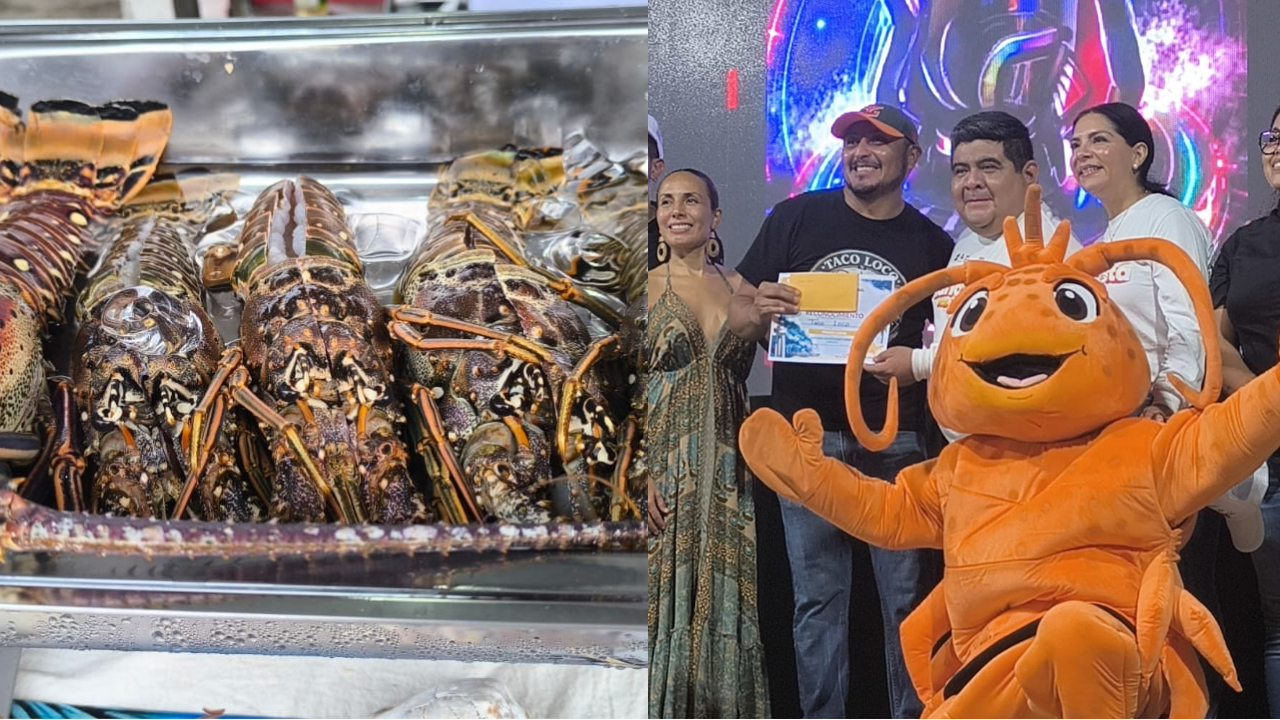 Lobster dishes at the 2026 Tulum Lobster Festival