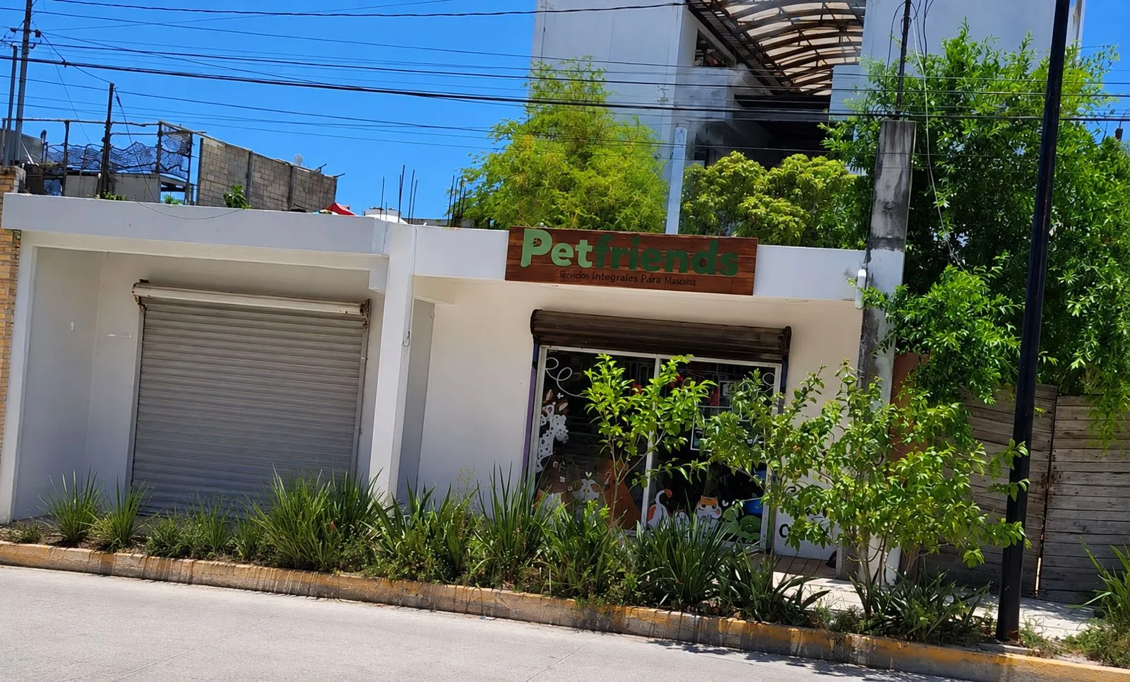 Residents in Tulum's Centro neighborhood have complained about smoke and odor from an allegedly unlicensed animal crematorium.