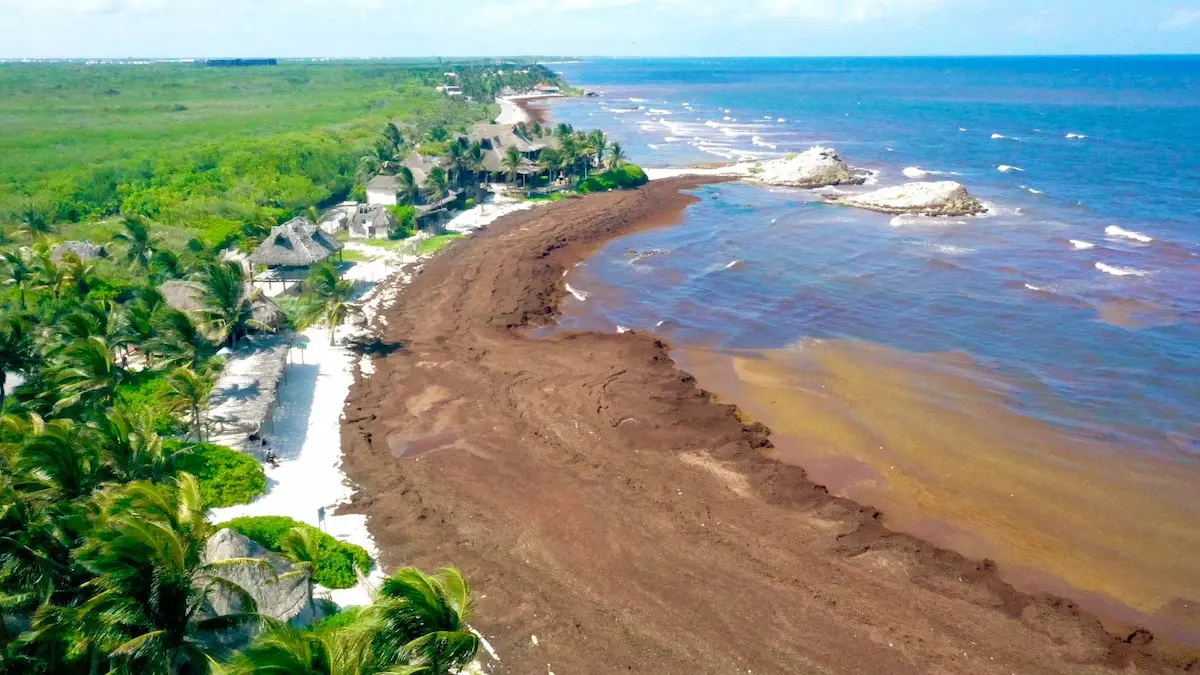 Aerial view of Tulum coastline with hotels and turquoise sea