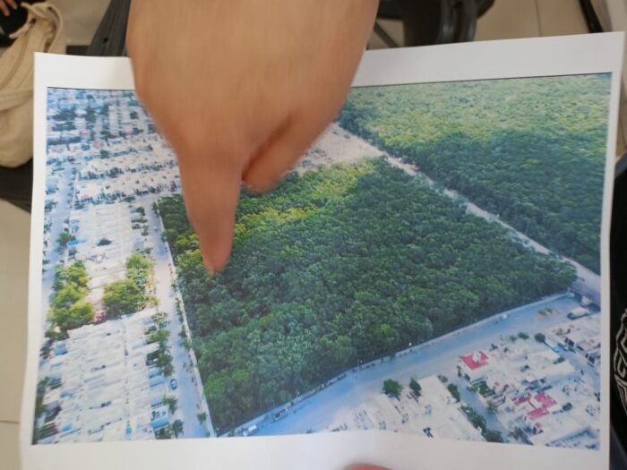 Aerial view of the conserved jungle area in Villas del Sol, Playa del Carmen