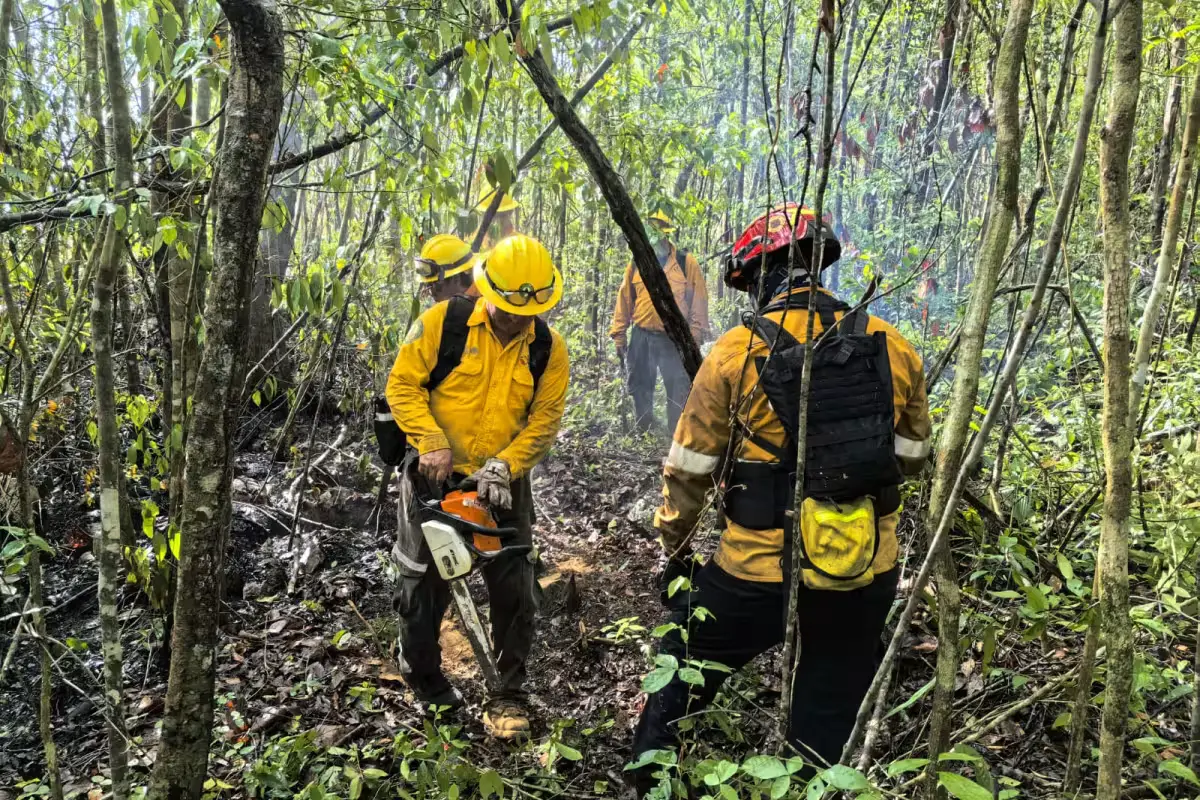 Wildfire smoke rising over vegetation in Puerto Aventuras, Quintana Roo