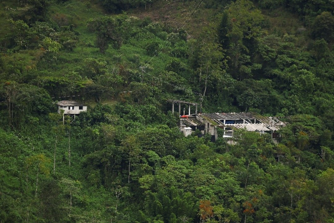 Two abandoned houses nestled in a dense green landscape with trees and foliage surrounding them.$# CAPTION