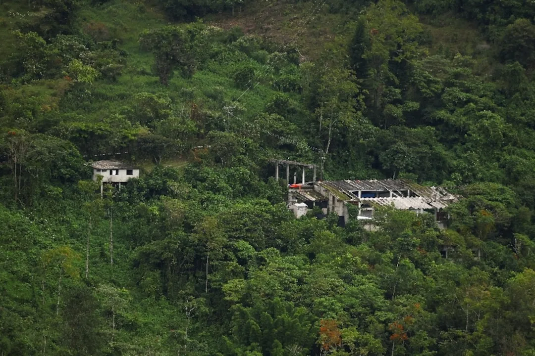 Two abandoned houses nestled in a dense green landscape with trees and foliage surrounding them.$# CAPTION