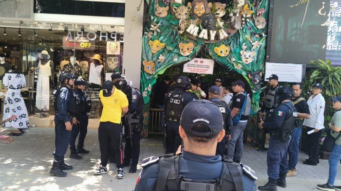 Big cats and monkeys seized from the Animalandia Maya wildlife attraction on Quinta Avenida in Playa del Carmen
