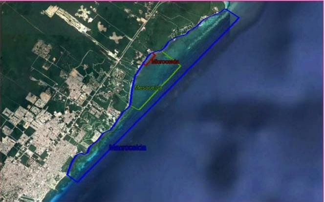 Coastal diagram showing three breakwaters and sand replenishment planned for Bahia del Carmen beach north of Playa del Carmen, Quintana Roo