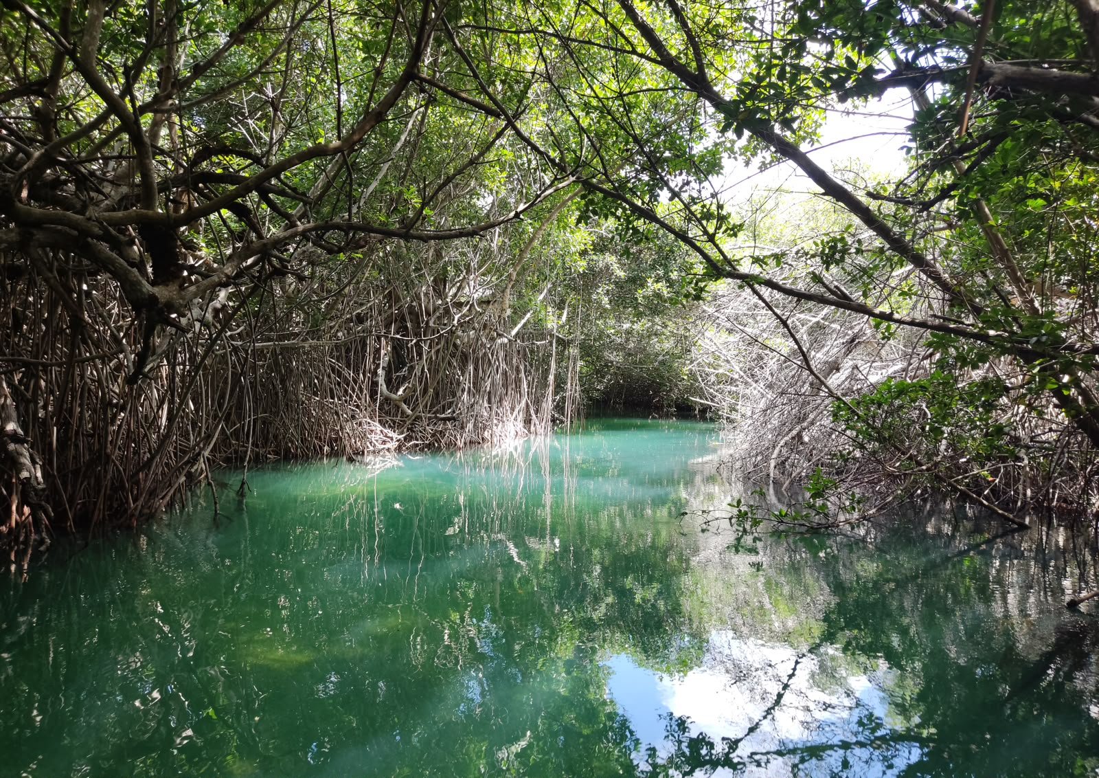 Turquoise Caribbean water and white sand beach near Cancun's protected natural areas in Quintana Roo, Mexico