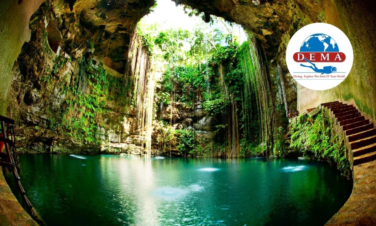 Turquoise water and limestone walls inside a cenote in the Mexican Caribbean near Tulum