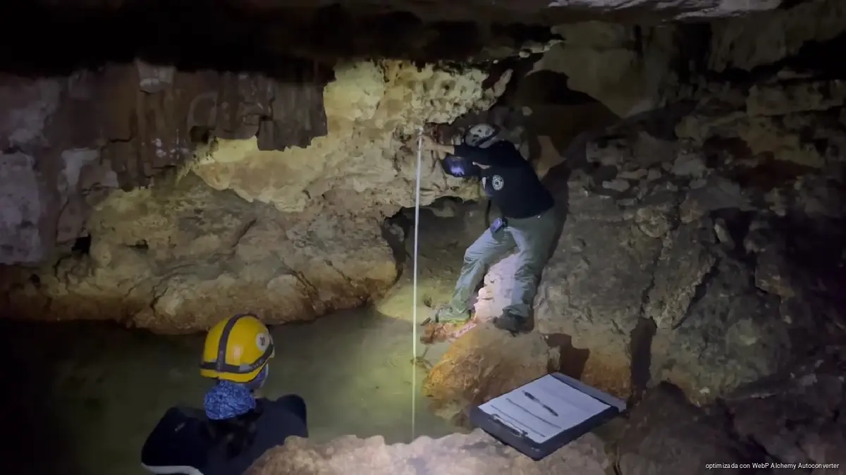 Urban cenote in Playa del Carmen where officials plan to add patrols and warning signs.