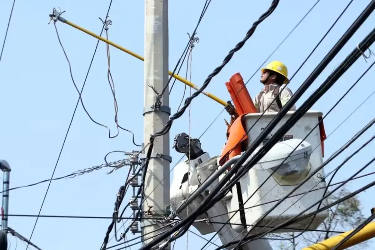 CFE workers clear vegetation and repair electrical infrastructure in a rural community in Quintana Roo, Mexico.