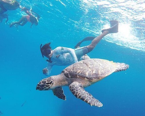 Scuba diver swimming above a colorful coral reef in Cozumel