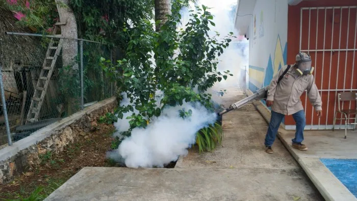 A health worker inspects a water container as part of dengue prevention efforts in Quintana Roo