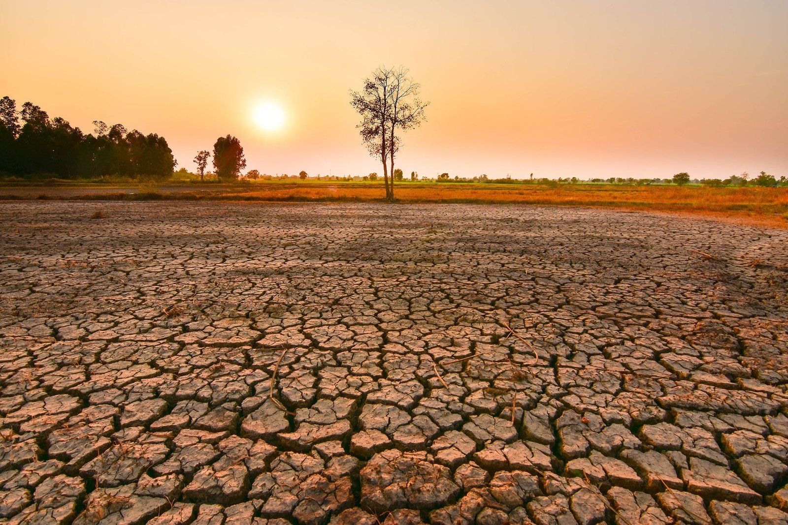 how el niño affects weather