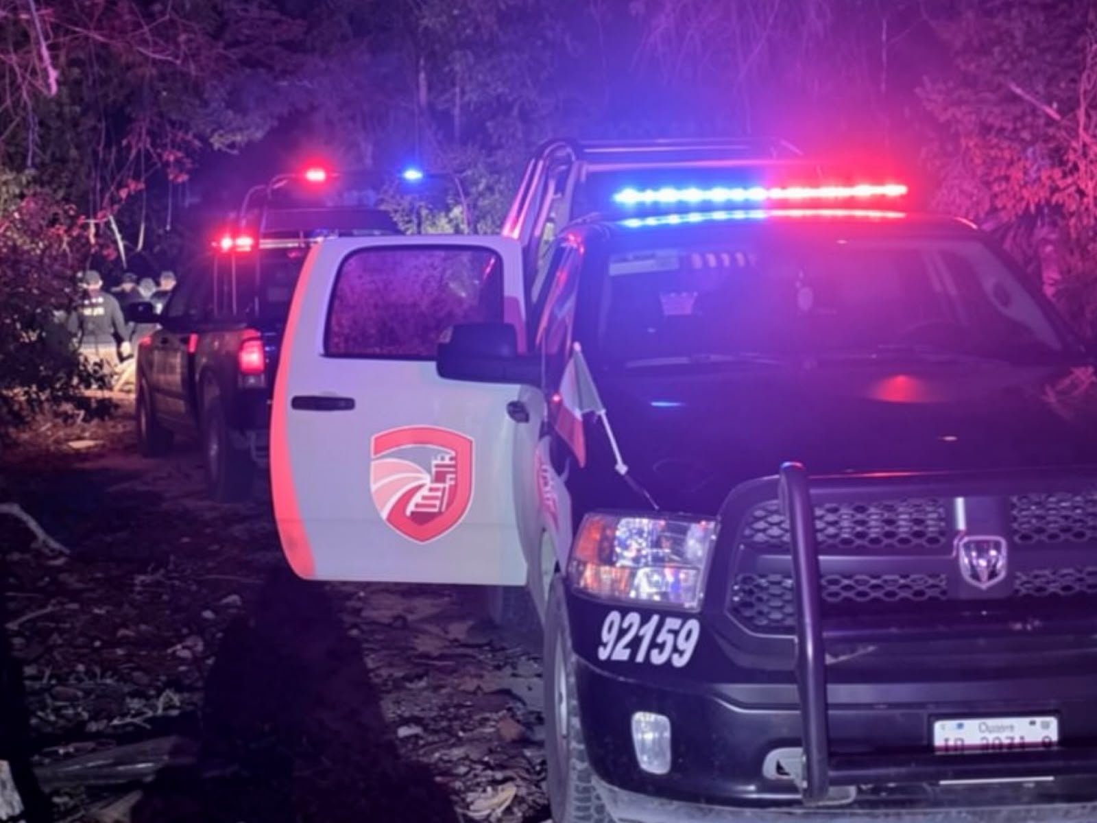 Forensic investigators work at a wooded site near the Ka'an Lu'um lagoon in Tulum where a farm worker discovered human remains