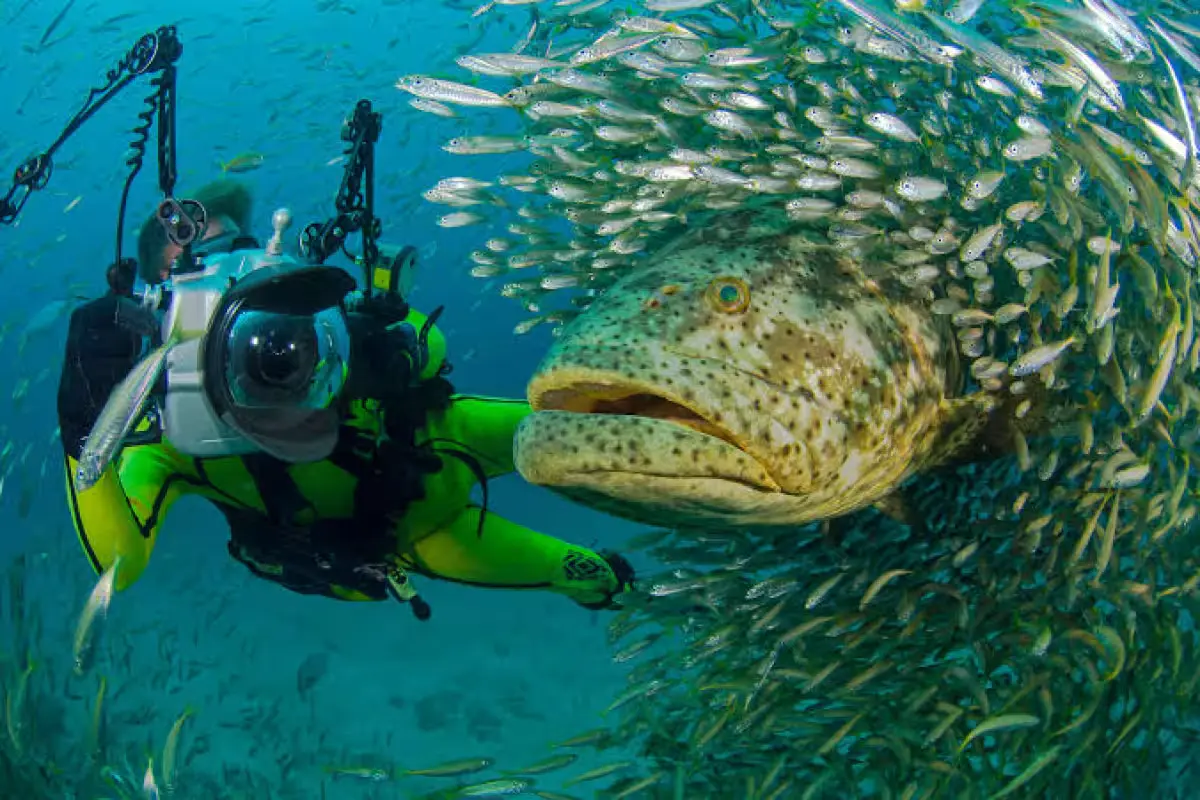 Fishermen on Isla Mujeres in Quintana Roo handling their catch of lobster and scaled fish such as grouper, snapper and mullet