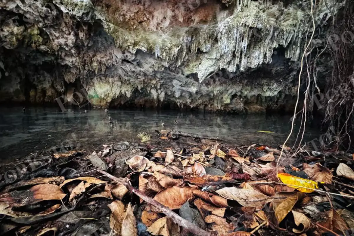 Interior of the La Cueva Papalote cenote in the Villas del Sol subdivision of Playa del Carmen, Quintana Roo