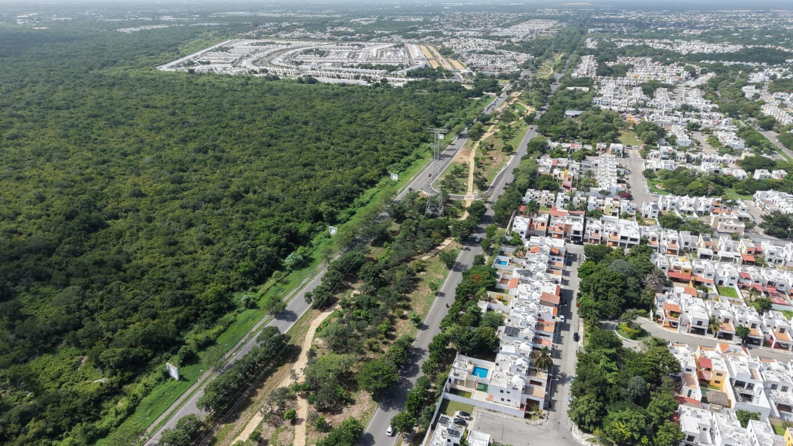 Mayor Cecilia Patrón Laviada inaugurates the first Green Corridor of Mérida in Ciudad Caucel, an urban park planted with more than a thousand native trees