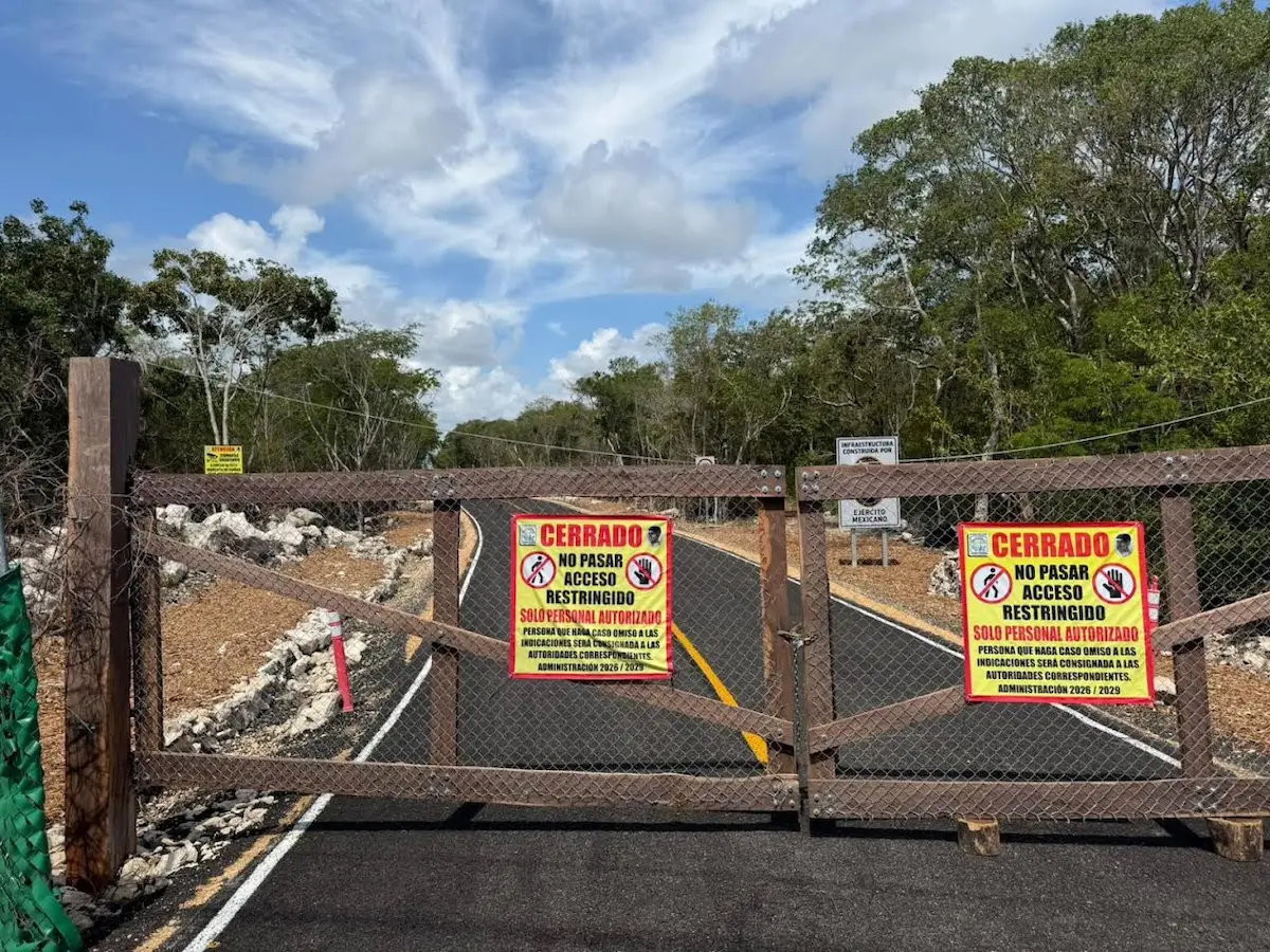 A newly built road cutting through dense jungle near the Sac Actún flooded cave system in Tulum, Quintana Roo