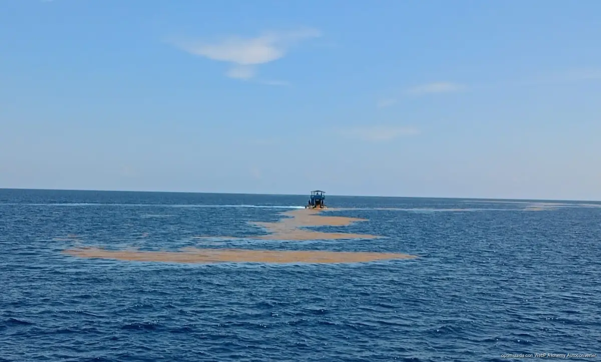 Mexican Navy sargassum collection vessels operating in the waters of the Mexican Caribbean