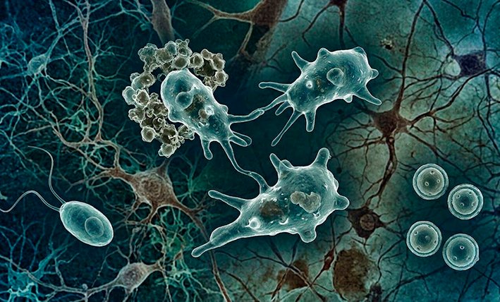 Illustration of warm freshwater where the Naegleria fowleri amoeba can live, including lakes, rivers and cenotes