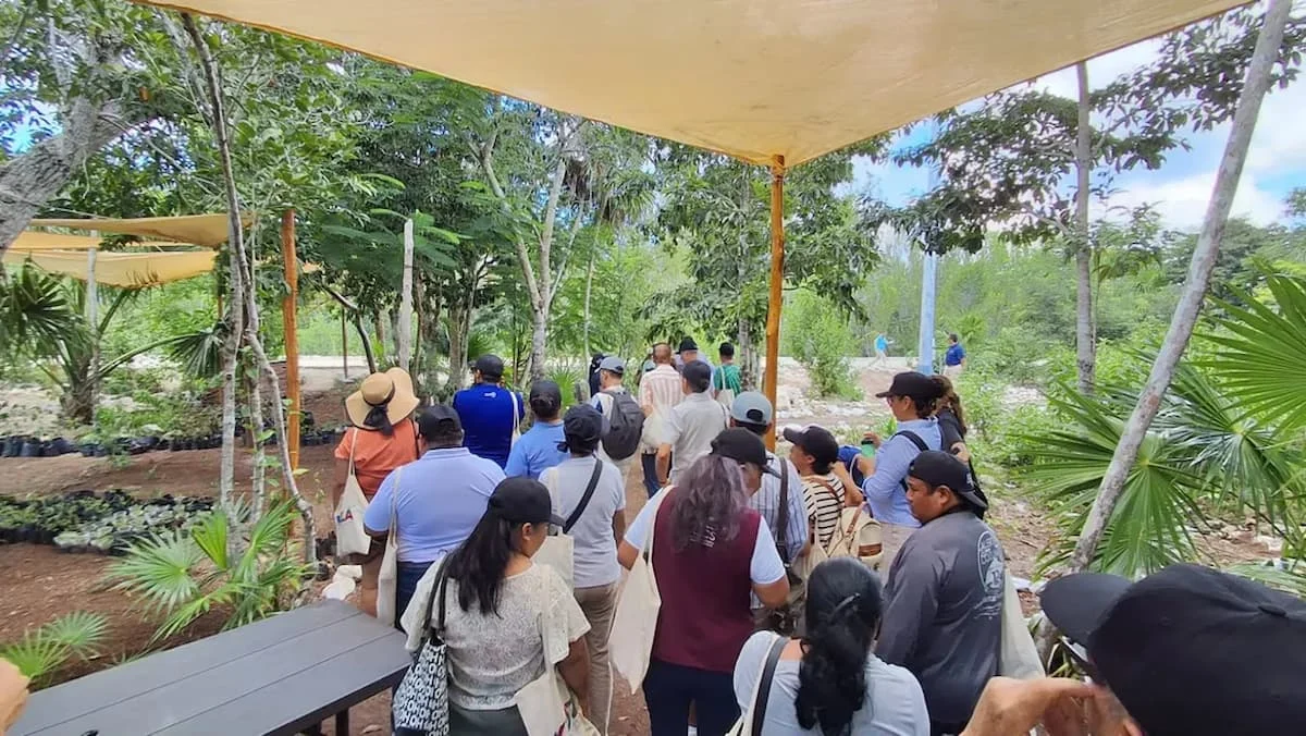 Visitors walk a nature trail through mangroves and tropical vegetation in southern Cozumel, where a new sustainable tourism route offers hiking and birdwatching