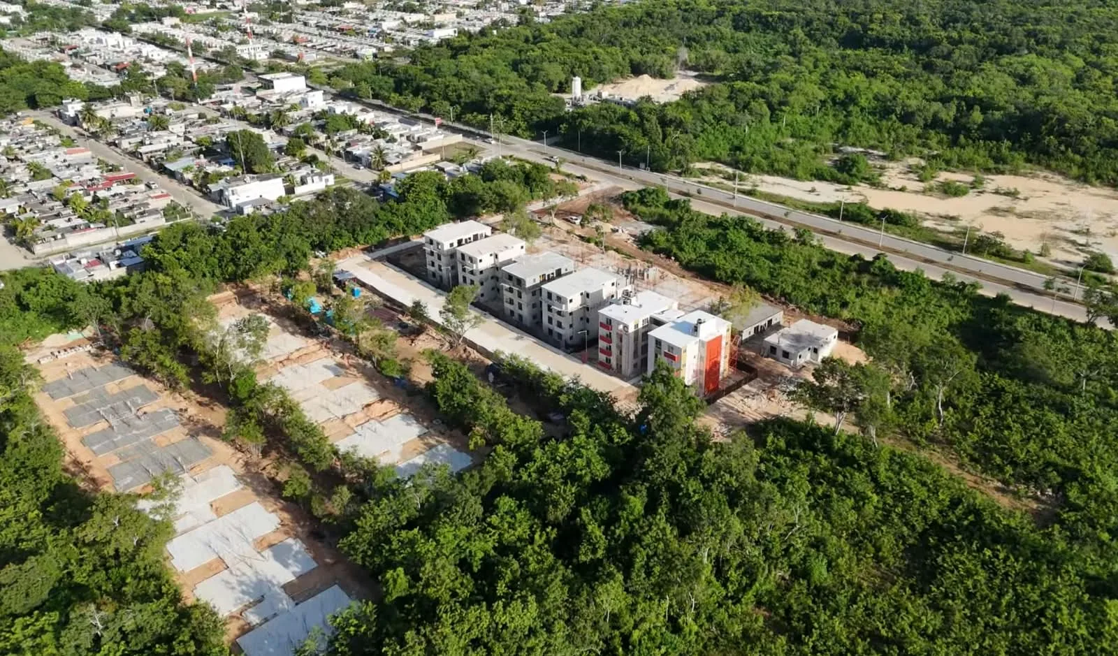 Row of young trees planted along a landscaped median in an urban development