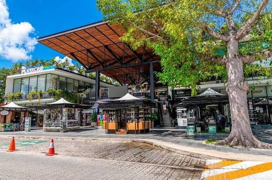 one stop for opening a business in playa del carmen