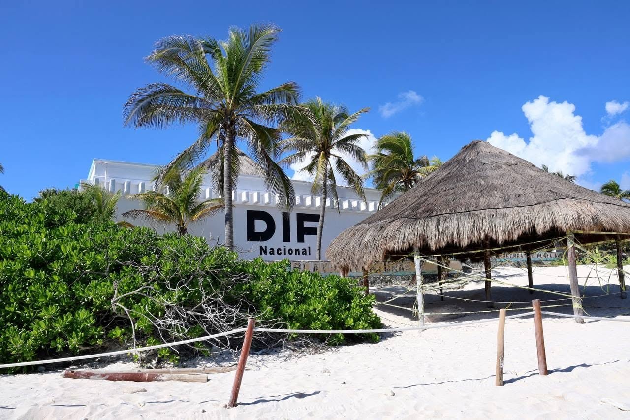 record turle nesting season at playa aventuras dif beach