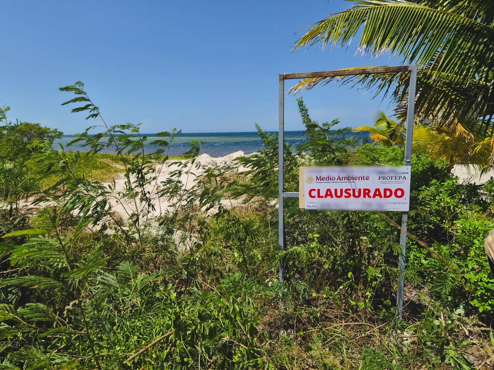 Coastal dune in Chabihau, Yucatan, where federal inspectors found cleared protected vegetation and heavy machinery tracks