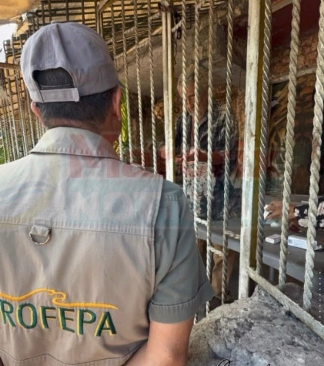PROFEPA inspectors standing outside the Pepe Tigre facility in Cancún's Hotel Zone after being denied access to inspect a jaguar