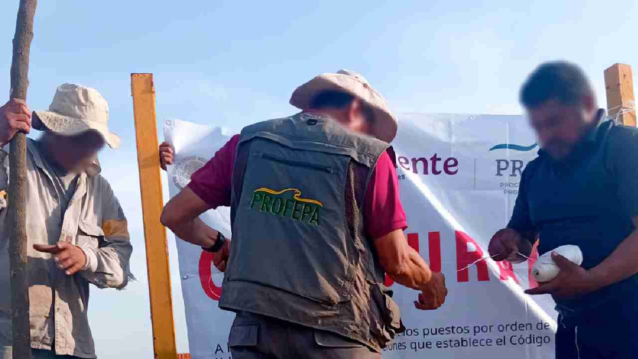 Profepa personnel carried out inspections in Puerto Juárez, Quintana Roo, that led to the closure of two construction projects.