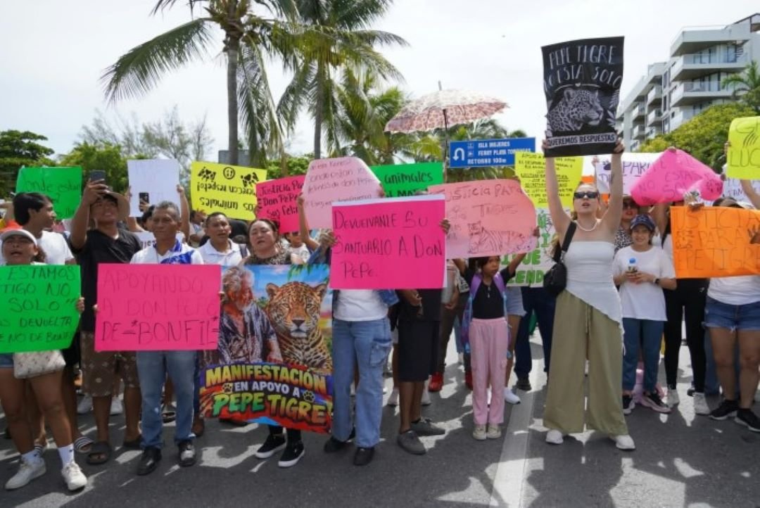 Protesters hold banners in Cancún demanding information about the fate of big cats kept by José Juárez Gil, known as Pepe Tigre